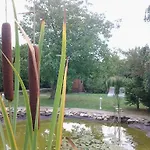 Hotell Toldi Panzio