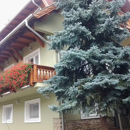 Toldi Panzio מלון 3*