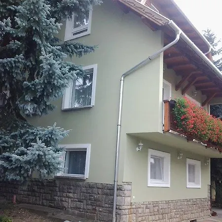 Hotel Toldi Panzio Héviz