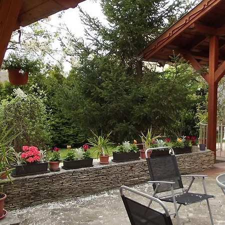 Toldi Panzio Hotel 3*