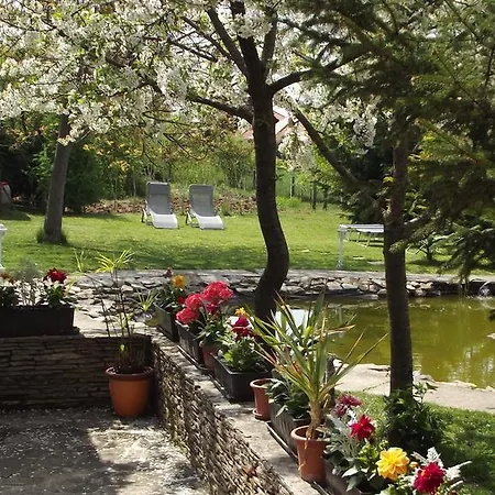 Toldi Panzio 3* Hévíz