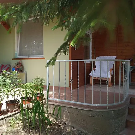 Toldi Panzio