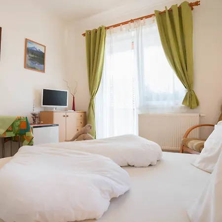 Toldi Panzio Hotel 3*