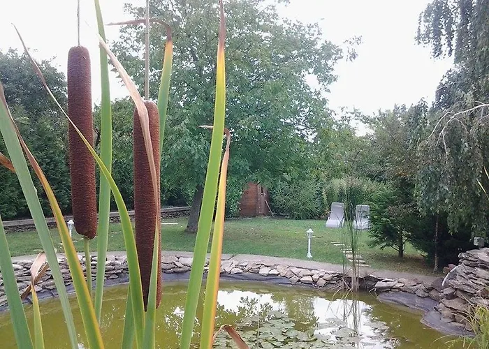 ホテル Toldi Panzio