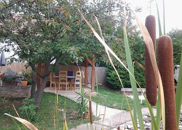 Toldi Panzio ホテル ヘーヴィーズ