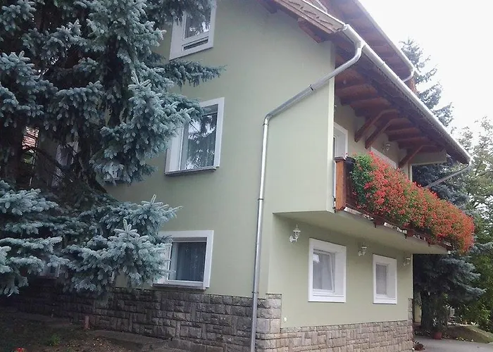 Hotel Toldi Panzio Heviz
