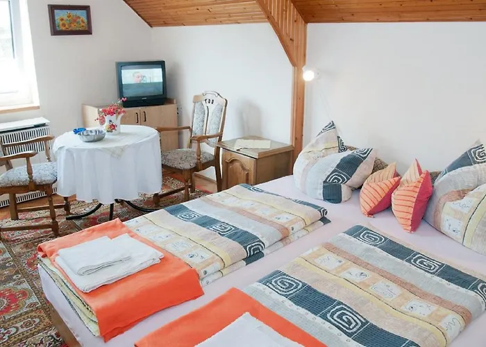 Toldi Panzio ホテル