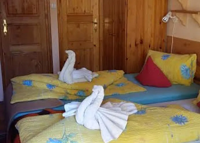 ホテル Toldi Panzio 3*