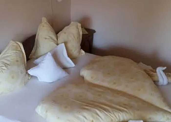 Toldi Panzio ヘーヴィーズ